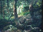 Interior of a forest Antonio Parreiras